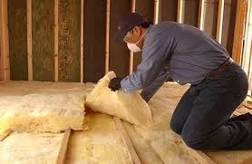 Best Insulation for New Construction  in Port Carbon, PA